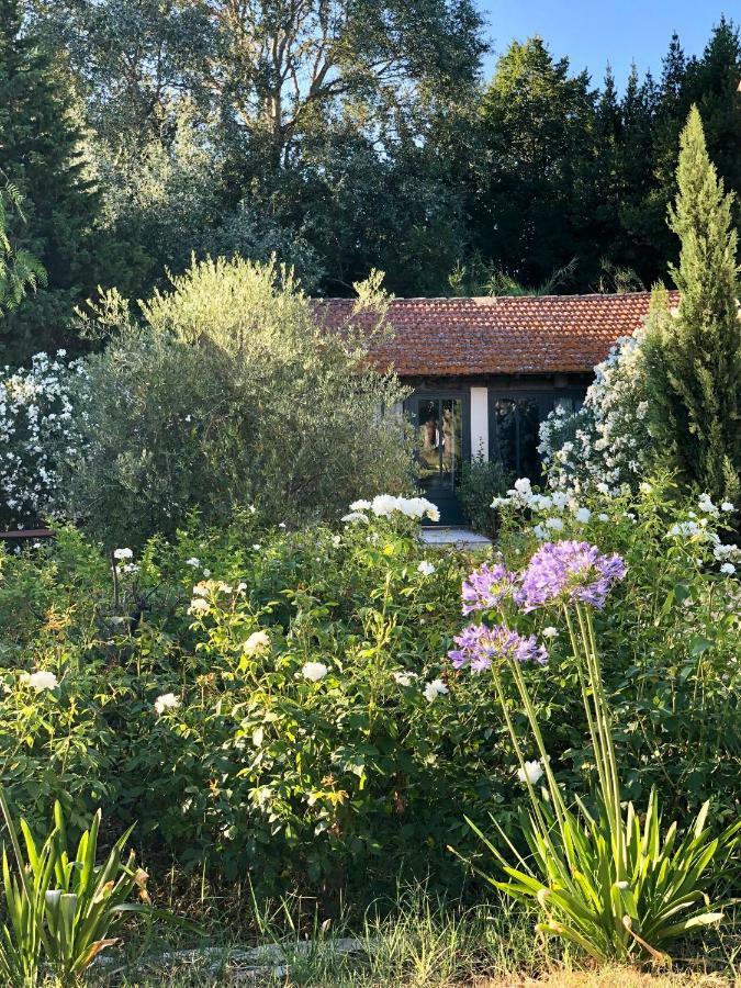B&B Mas De Caustes Saint-Rémy-de-Provence Εξωτερικό φωτογραφία
