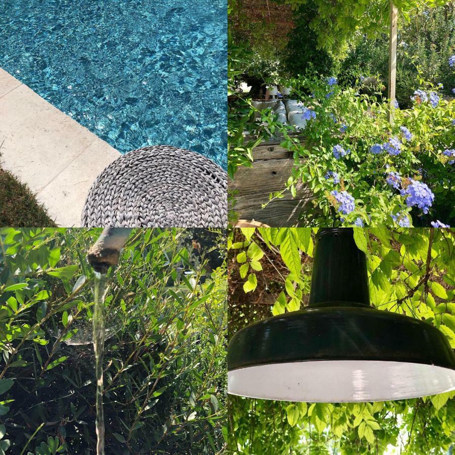 B&B Mas De Caustes Saint-Rémy-de-Provence Εξωτερικό φωτογραφία