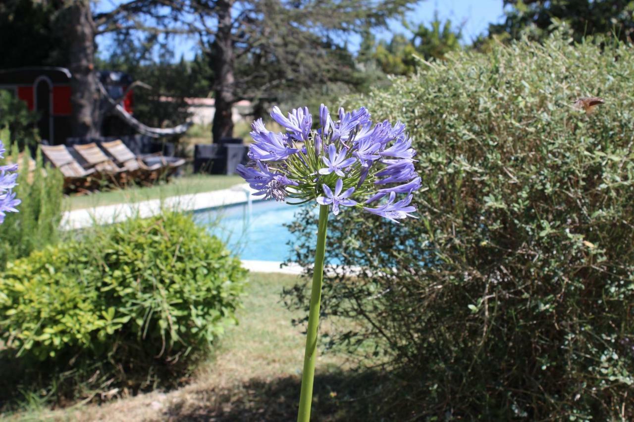 B&B Mas De Caustes Saint-Rémy-de-Provence Εξωτερικό φωτογραφία