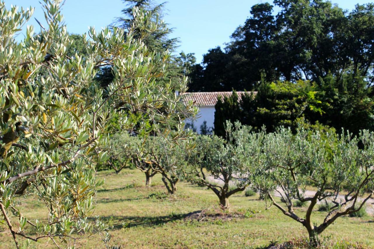 B&B Mas De Caustes Saint-Rémy-de-Provence Εξωτερικό φωτογραφία