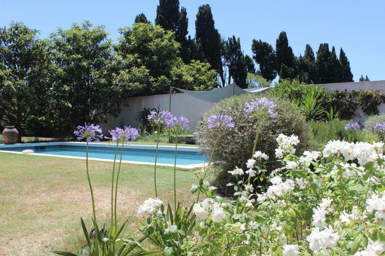 B&B Mas De Caustes Saint-Rémy-de-Provence Εξωτερικό φωτογραφία