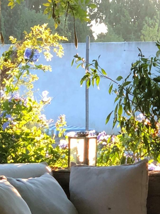 B&B Mas De Caustes Saint-Rémy-de-Provence Εξωτερικό φωτογραφία