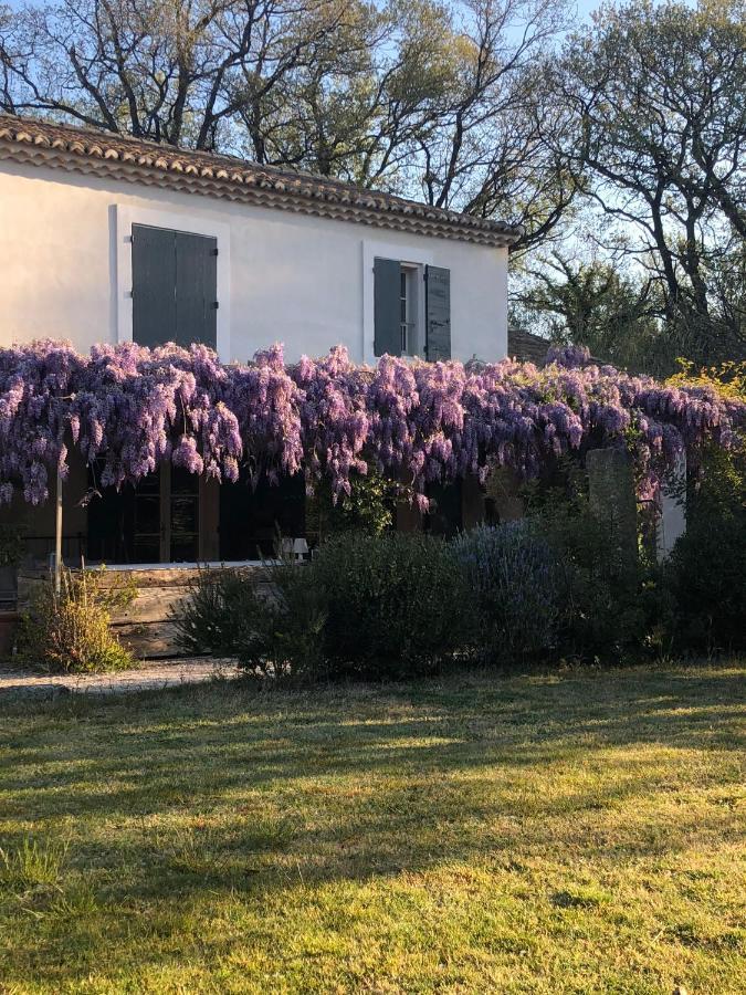 B&B Mas De Caustes Saint-Rémy-de-Provence Εξωτερικό φωτογραφία